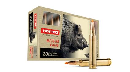 NORMA .300 Win. Mag. Tipstrike 11,0g/170gr