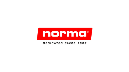 NORMA .243 Win. Softpoint 6,5g/100gr